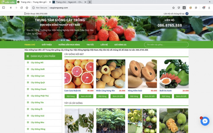 Cây Giống Vàng Dự án web Cây giống vàng do Nga Linh tư vấn và thiết kế
